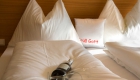 Schlafzimmer Freiraum9